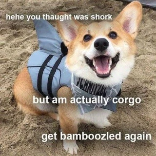 CORGOS
