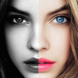 Colorizer