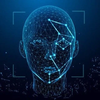 TelefaceSearch