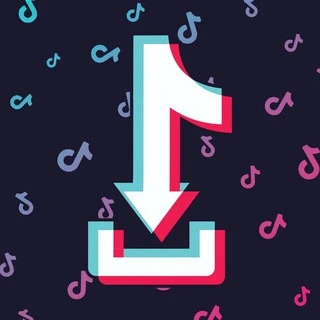 TikTok Downloader