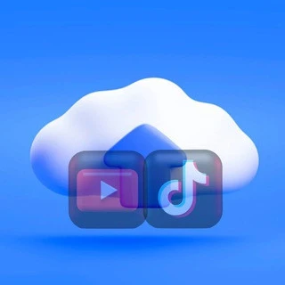 Tiktok Downloader