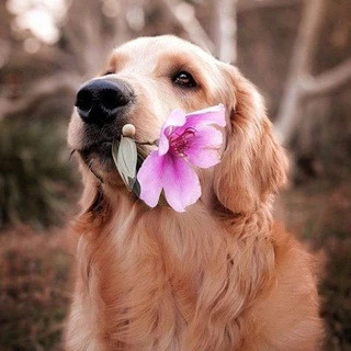 Daily Dose Of Cuteness