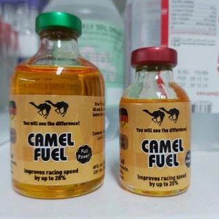 Horse And Camel Vet Meds