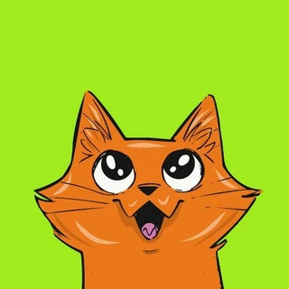 Cat S House