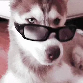 Fluffs