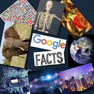 Google Facts