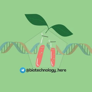 BIOTECH Notes JAM GAT B GATE DBT RCB