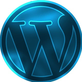 Wordpress For Beginners