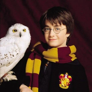 English With Harry Potter