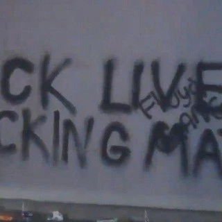 The Black Lives Revolution BLM