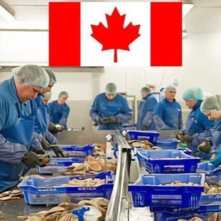 Jobs In Canada