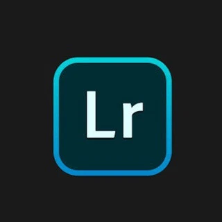 Free Adobe Lightroom Mobile Presets Download DNG Presets Telegr