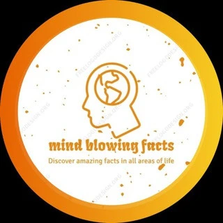 Mind Blowing Facts