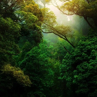 Nature Landscape Animal Photography Videos - TikTok Backup By Apple