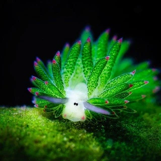 The Unseen World