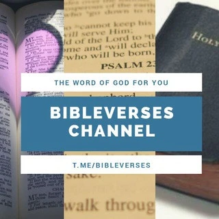 Bible