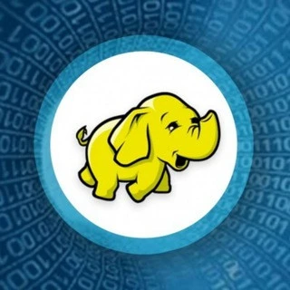 Big Data Professionals