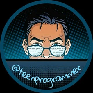 Teen Programmer