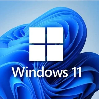 Windows Optimized Versions
