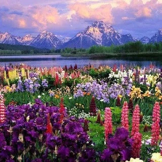 God S Creation