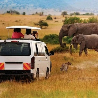 Epanoui_Vibes_Safaris_ltd