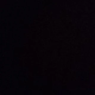 Memes_videos_USA