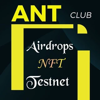 Airdrop NFT And Testnet