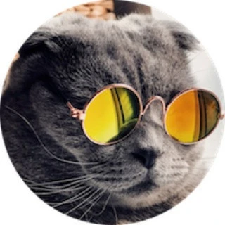 By KittySwap Org