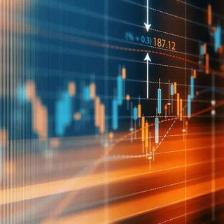 Forex Traders And Investors