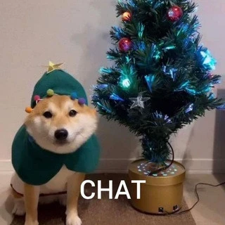 Me_irl Chat