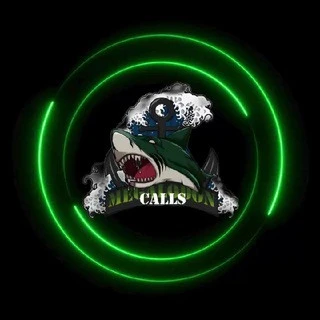 Megalodons Calss CHAT