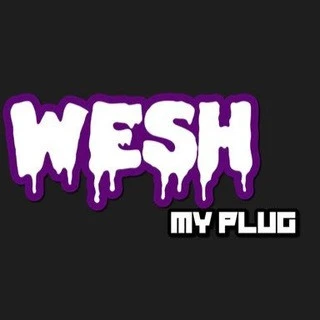 WESHMYPLUG Weshmybeats VST KITS