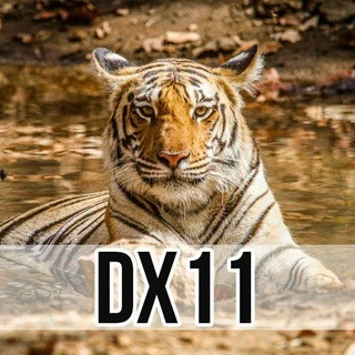 DX Likes Only - IG Boosting