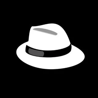ETHICAL HACKERS
