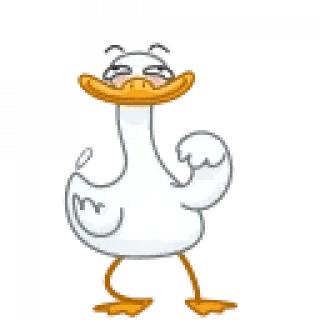 Mr Goose