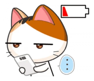 Japanese Kitty