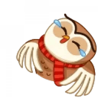 Polar Owl