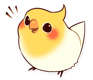Coca Bird Xane S Edit