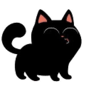 Cat Teftel