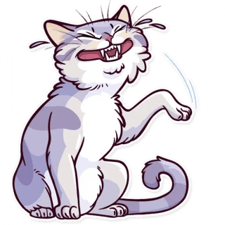 Meme Cats