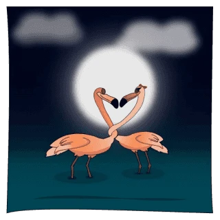 Flix The Flamingo By Sheida
