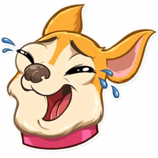 Chihuahua Chica