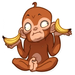 Mona Monkey
