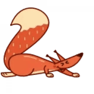 Red Squirrel