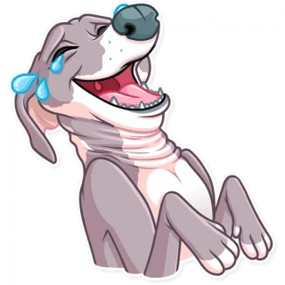 Kermit The Dog