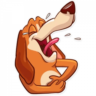 Good Boy