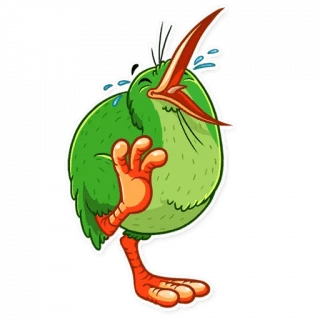 Kiwi Kiwi