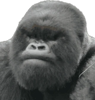 Dian Fossey Gorillas