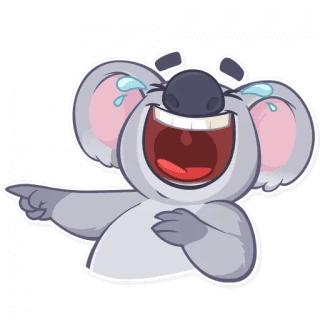 Koala Chuck