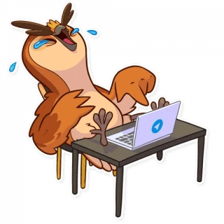Freelance Owl